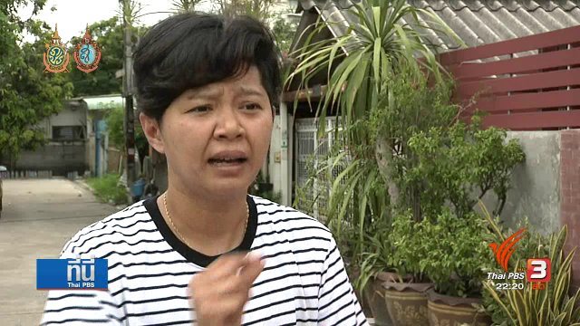 ที่นี่ Thai PBS : คัดกรอง ขออุปการะแมวจรจัด