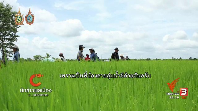 นักข่าวพลเมือง : กิจกรรม "ดำนา ลงแขก" เครือข่ายลุ่มน้ำชีตอนล่าง จ.ร้อยเอ็ด