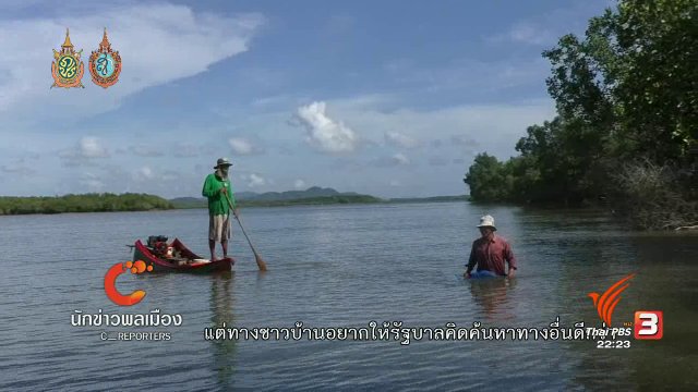 นักข่าวพลเมือง : กุ้งเคย ตัวชี้วัดความสมบูรณ์ระบบนิเวศป่าชายเลน