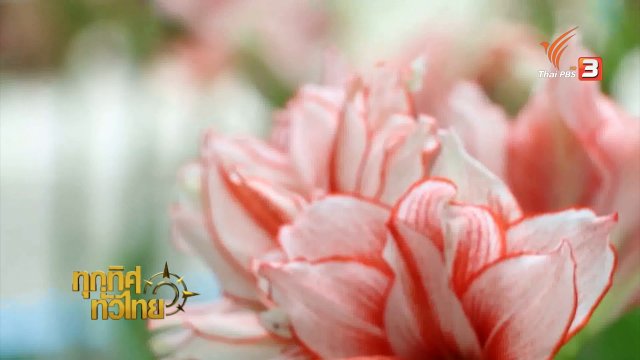 ประเด็นข่าว (22 ส.ค. 59)