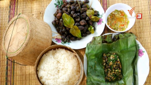 ตะลุยทั่วไทย : หอยจูบ