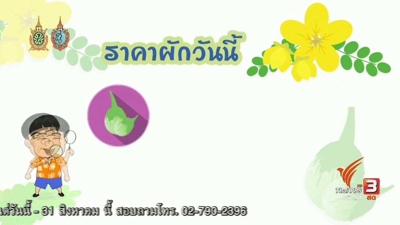 วันใหม่ ไทยพีบีเอส - สายสืบเจาะตลาด : สืบราคาผักช่วงฤดูฝน ตลาดศรีเมือง จ.ราชบุรี