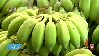 เรื่องกล้วย กล้วย ช่วยสุขภาพดี