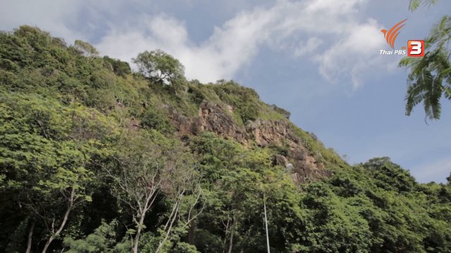 ขับรถกินลมชมความงาม ริมหาดคุ้งวิมาน
