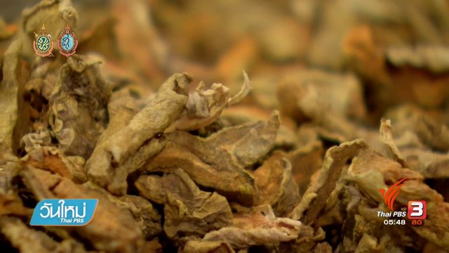 หญ้าหวาน หวานเพื่อสุขภาพจากธรรมชาติแท้ๆ