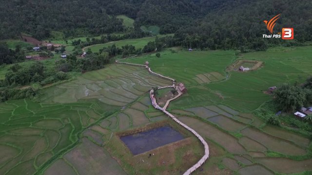 สะพานบุญ โขกู้โส่​