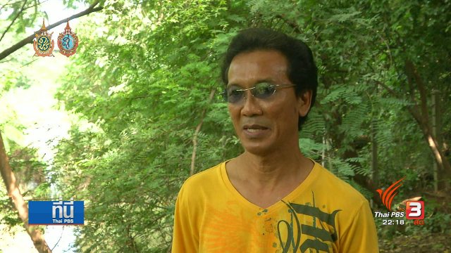 หาสาเหตุปลากระเบนราหูตายในแม่กลอง