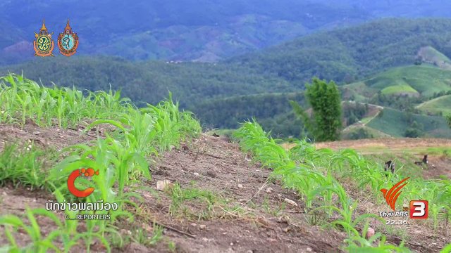 นักข่าวพลเมือง : แม่แจ่มโมเดล พลิกฟื้นผืนป่าด้วยความร่วมมือ