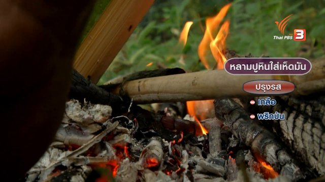 ตะลุยทั่วไทย : ปูหิน