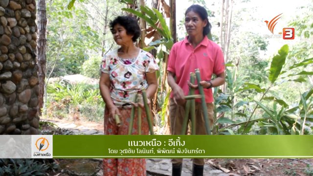 ทักษะไม่ต่อชีวิต วิกฤตคนโรงงาน​