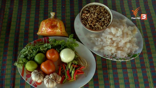 ตะลุยทั่วไทย : แมงกระพรุน