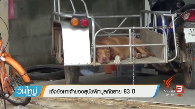 แจ้งข้อหาเจ้าของพิทบูลกัดยาย 83 ปี