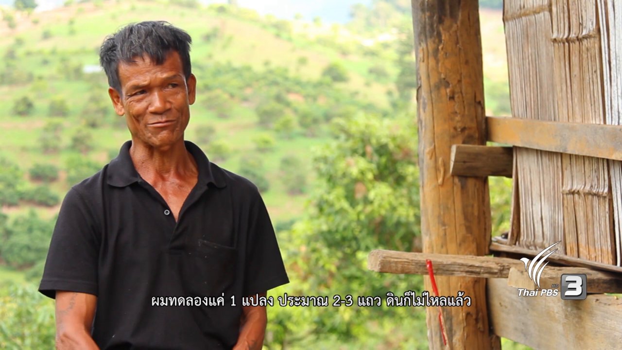 The North องศาเหนือ - ครอบครัวพอเพียงแห่งบ้านบาเลาะ และ รักษ์เมล็ดพันธุ์เพื่อชีวิต