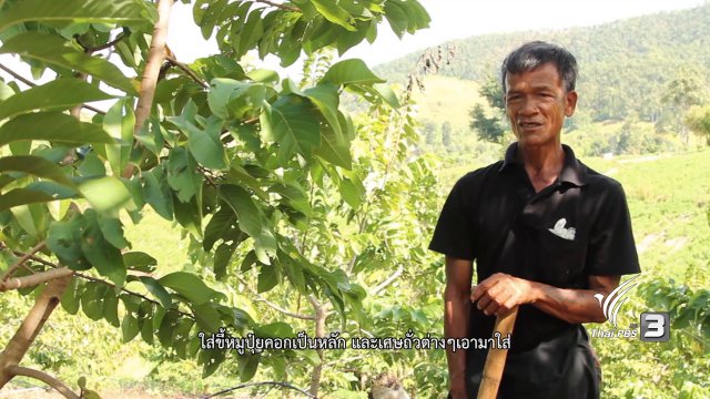 พ่อบุญเหล็ง สายแวว, ครอบครัวพอเพียงแห่งบ้านบาเลาะ และ รักษ์เมล็ดพันธุ์เพื่อชีวิต, ฟื้นชีวิตดิน คืนชีวิตดิน