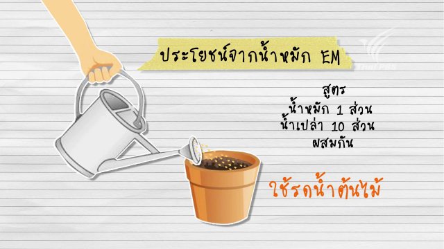 เปลือก...ลองกอง มีดีกว่าที่คิด