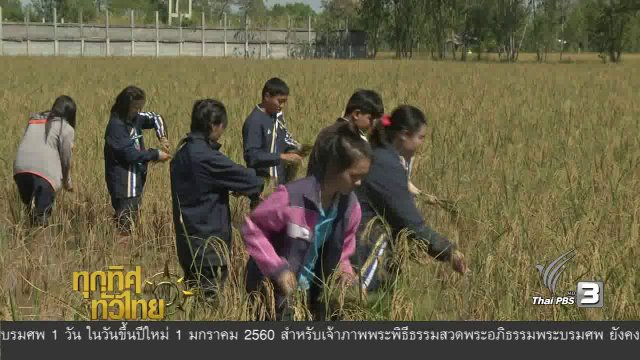 ประเด็นข่าว ( 21 ธ.ค. 59)