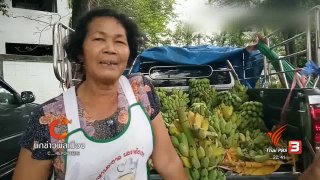 นักข่าวพลเมือง : กล้วยทางรอด จากสวนสู่เมือง