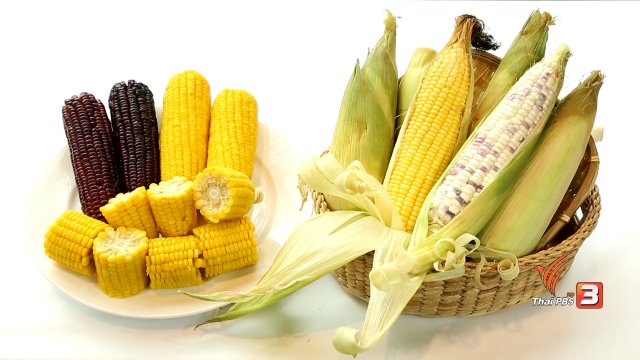 ประโยชน์ของข้าวโพด