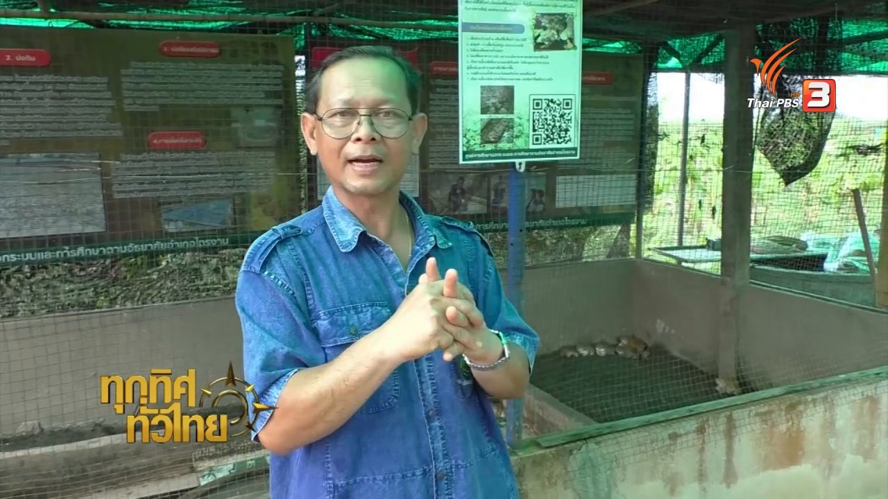 ทุกทิศทั่วไทย - ชุมชนทั่วไทย : ศูนย์เรียนรู้การเพิ่มประสิทธิภาพการผลิตสินค้าเกษตรไทรงาม