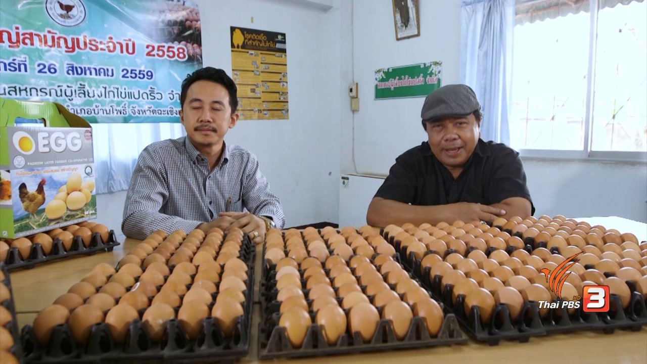 วันใหม่  ไทยพีบีเอส - สายสืบเจาะตลาด : สืบราคาไข่ไก่